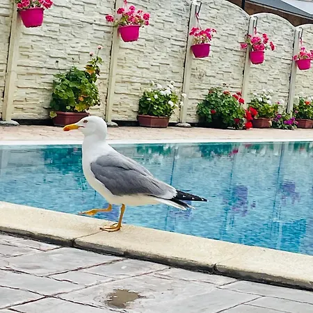 Apartmán Blue Marine - Daneli Sluneční pobřeží