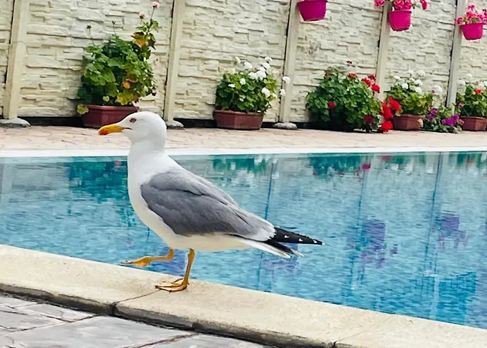 Daire Blue Marine - Daneli Sunny Beach